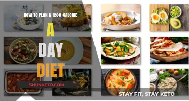 Master Your Diet: 1200 Calories, 1000 Tips for Healthy Weight Loss