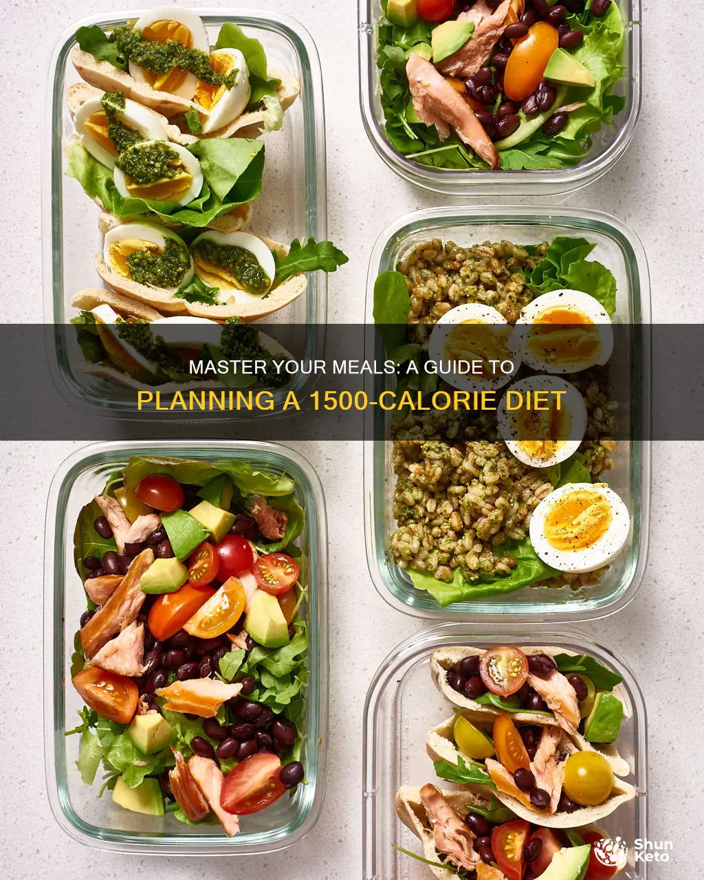 how to plan a 1500 calorie diet