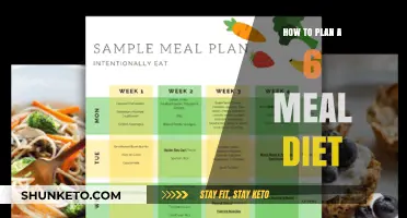 The Ultimate Guide to Planning a Balanced 6-Meal Diet