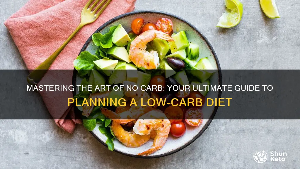 how to plan a no carb diet