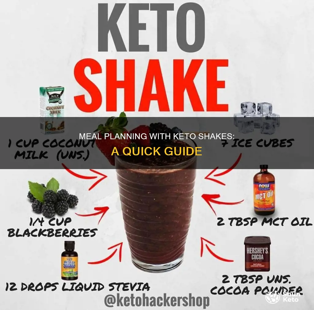 how to plan meals using keto shakes