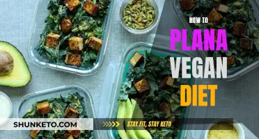 Planning a Nutritious Vegan Diet: A Comprehensive Guide