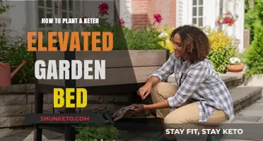 Elevate Your Gardening: A Step-by-Step Guide to Planting a Keter Raised Bed