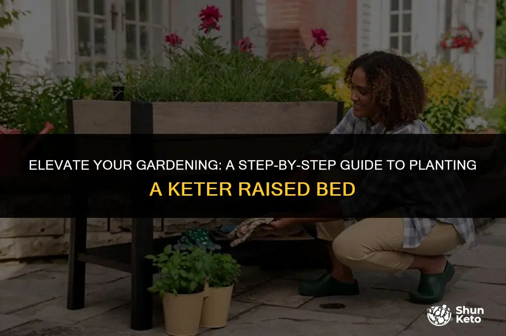 how to plant a keter elevated garden bed