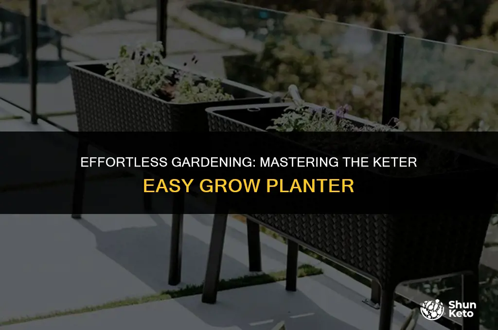 how to plant the keter easy grow planter