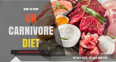 Carnivore Diet Pooping: What to Expect