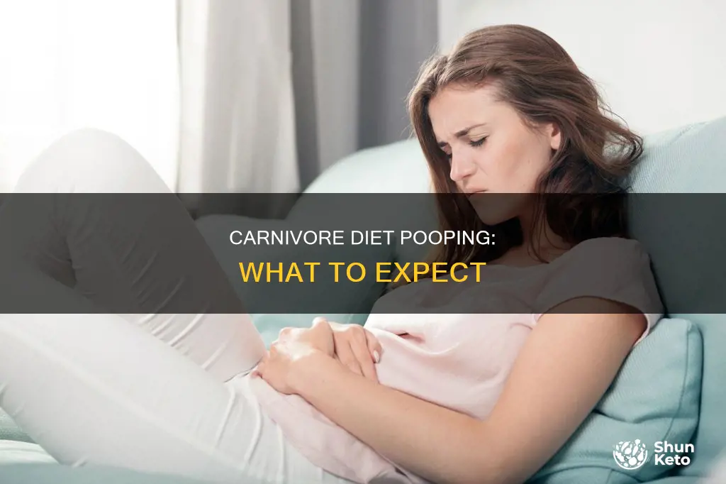 how to poop on carnivore diet