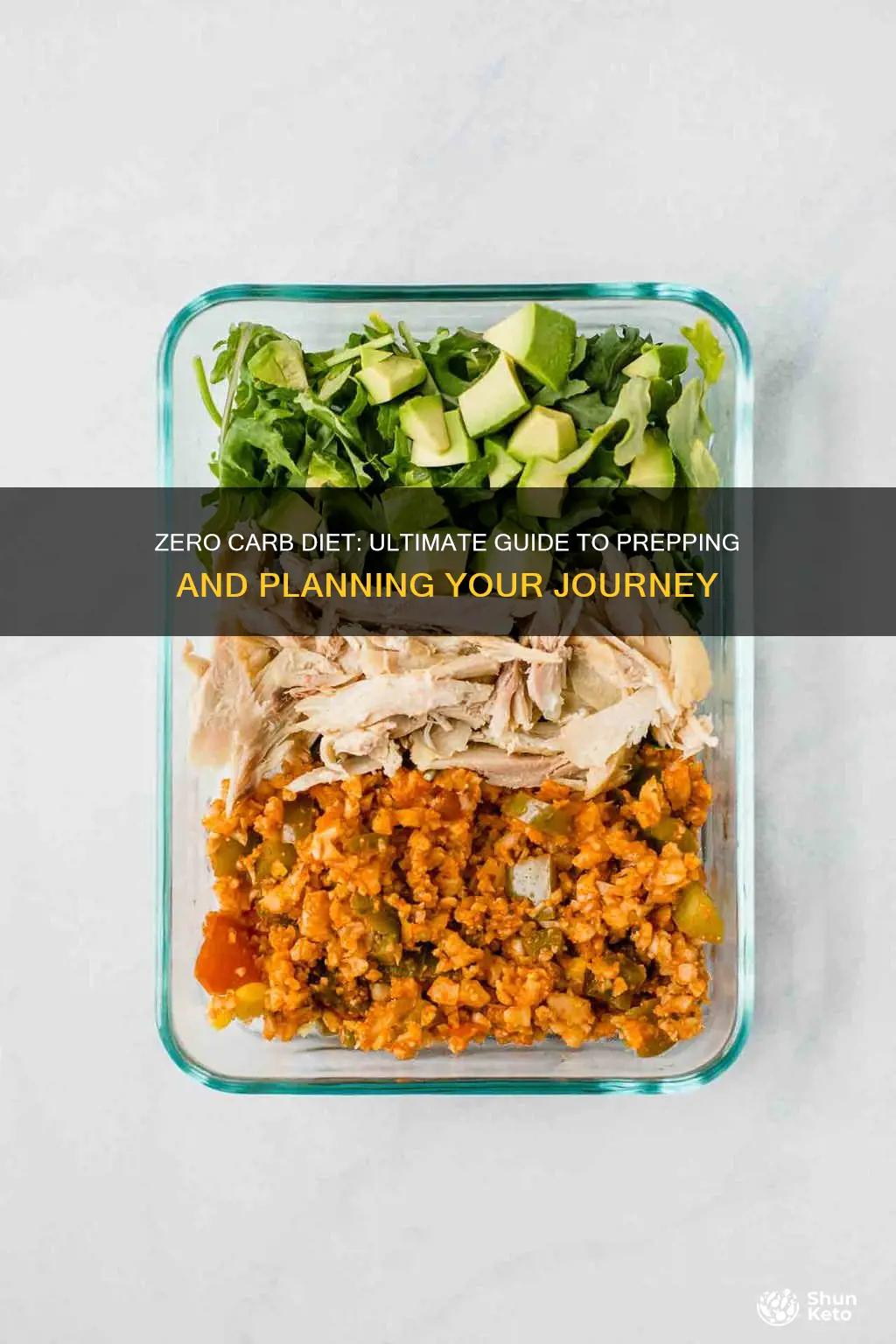 how to prep and plan to begin zero carb diet