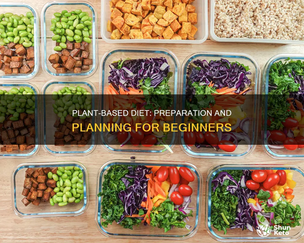 how to prepare plant based diet