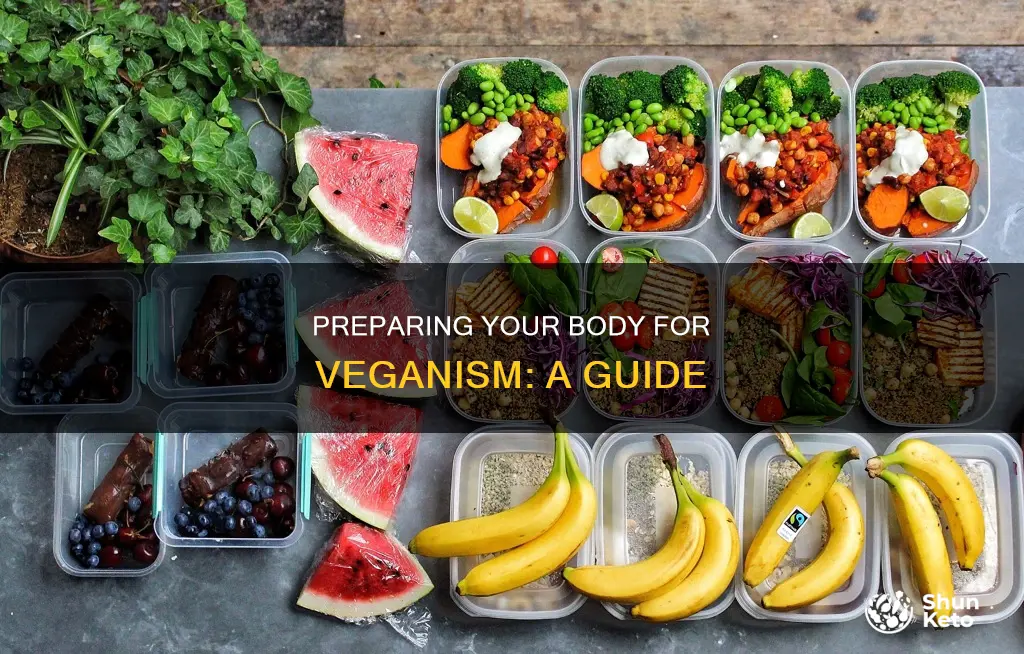 how to prepare your body for a vegan diet