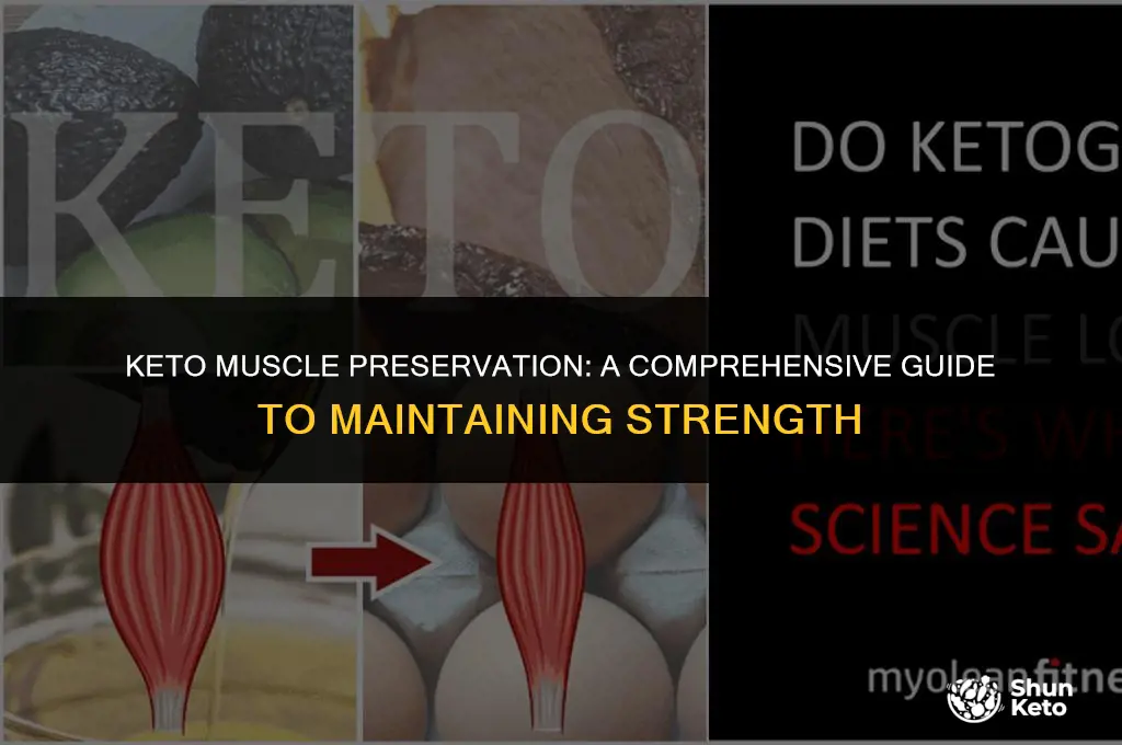 how to preserve muscle on keto