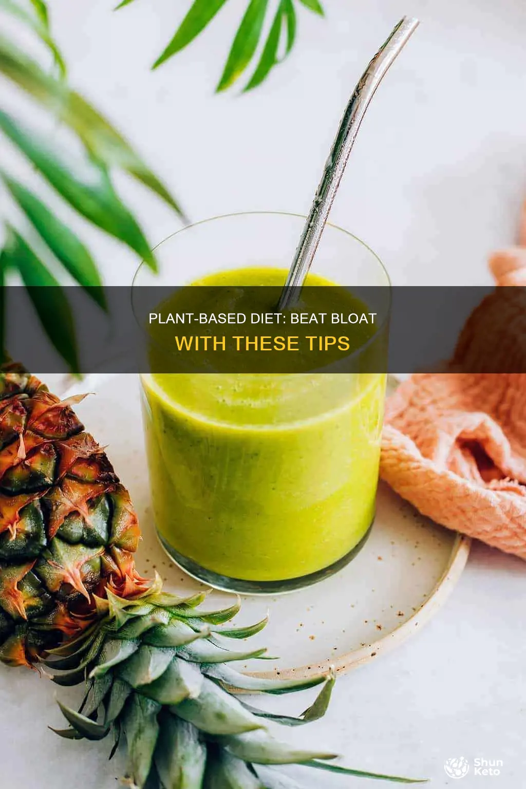 how to prevent bloating on a plant based diet