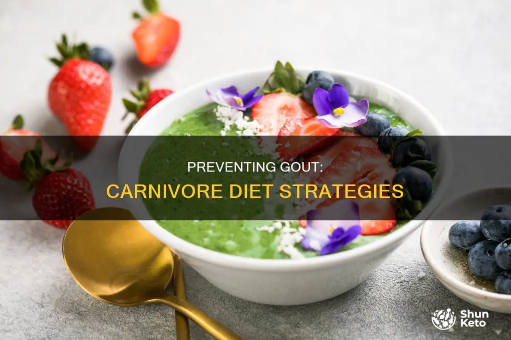 how to prevent gout on carnivore diet