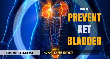 Preventing Ket Bladder: Essential Tips for a Healthy Ketogenic Lifestyle