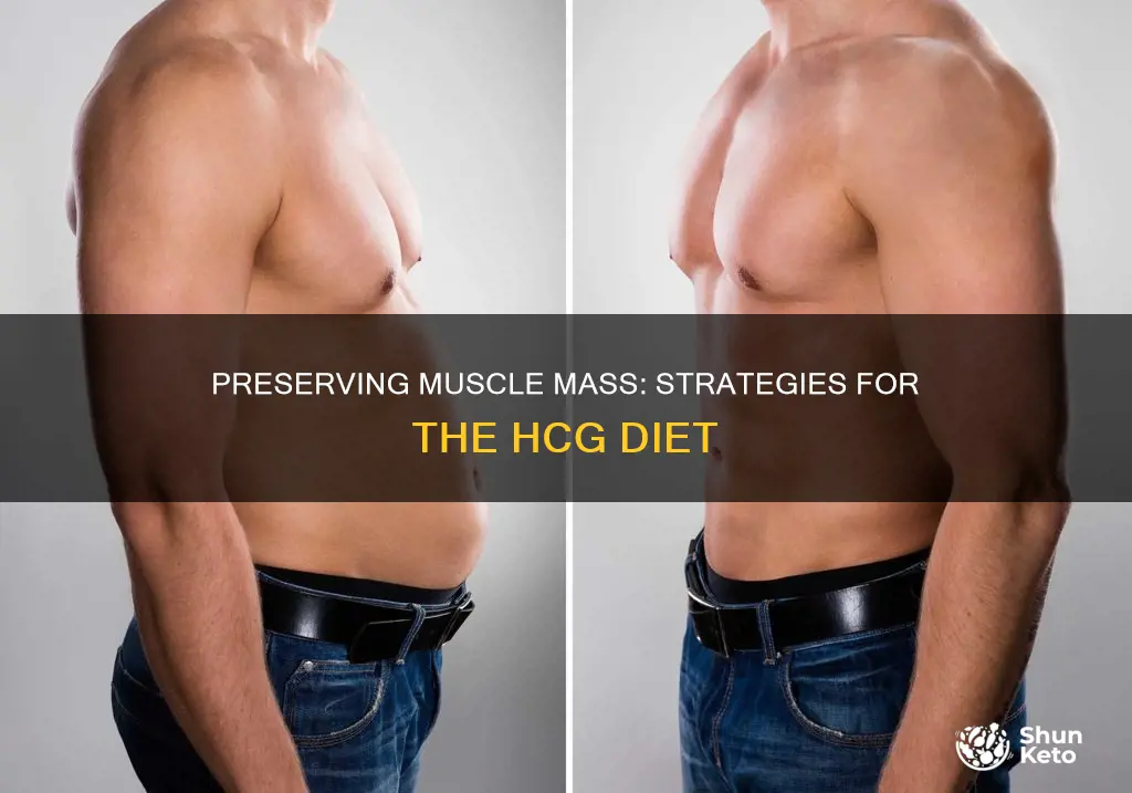 how to prevent muscle loss on hcg diet