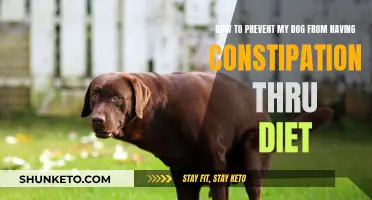 Preventing Canine Constipation: Dietary Solutions for Your Dog