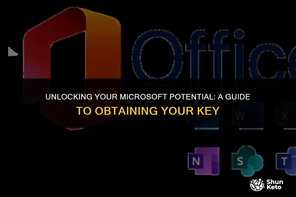 how to put a ket for micreosoft