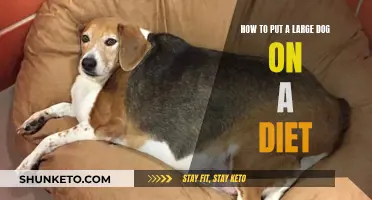 Large Dog Diet: Strategies for Weight Loss