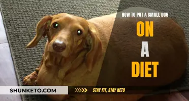 Small Dog, Big Diet: Strategies for Weight Loss