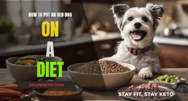 Feeding Aging Dogs: A Guide to Weight Loss Diets