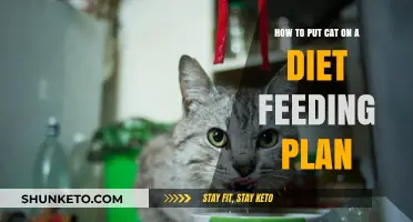 Purrfectly Healthy: A Guide to Feeding Your Cat Right