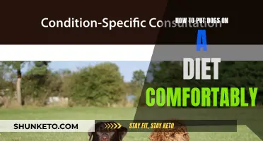 Strategies for Comfortably Putting Dogs on a Diet