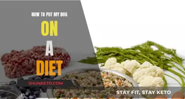 Putting Your Dog on a Diet: A Step-by-Step Guide