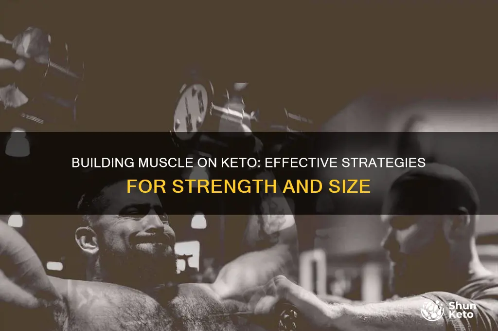 how to put on muscle on keto diet