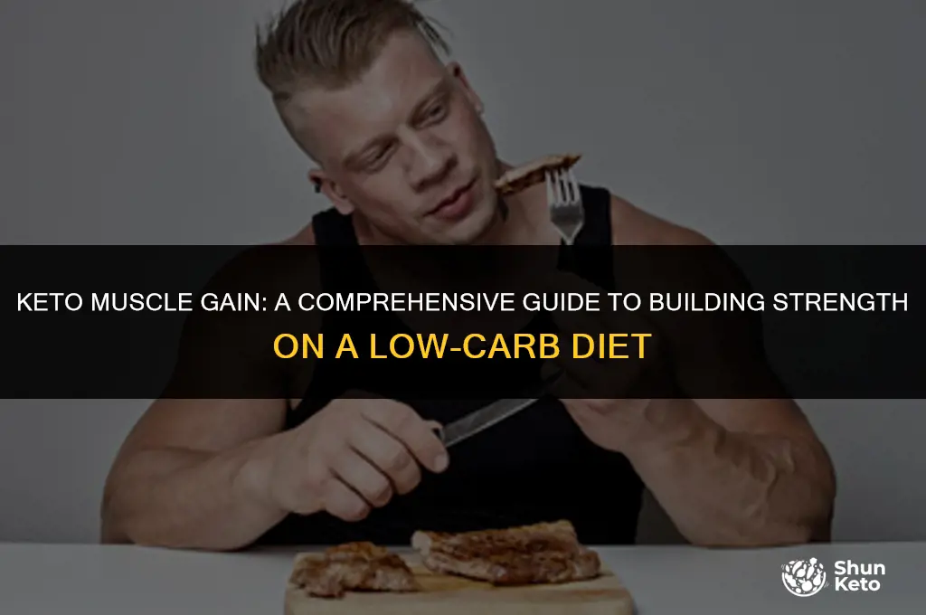 how to put on muscle on keto