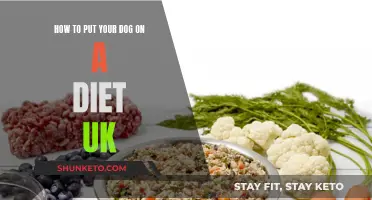 Dog Dieting: UK Guide to Healthy Weight Loss for Your Pet