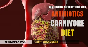 Restoring Gut Health: Antibiotics and the Carnivore Diet