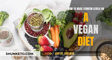 Boosting Ferritin Levels: Vegan Diet Strategies and Tips