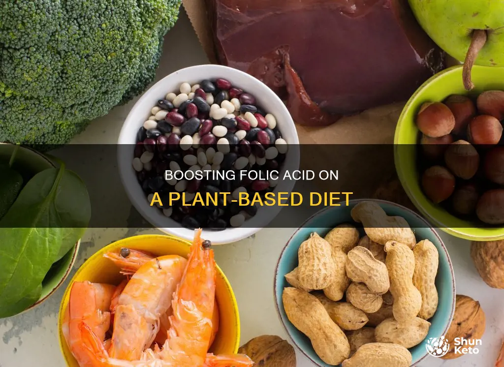 how to raise folic acids on a plant based diet