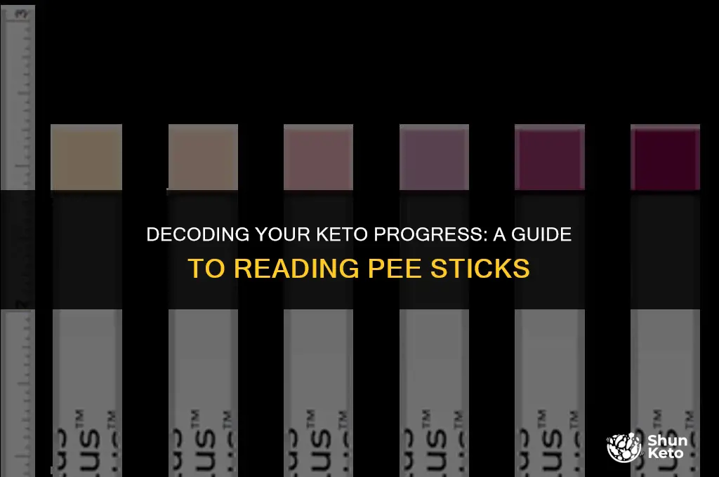 how to read a keto pee stick