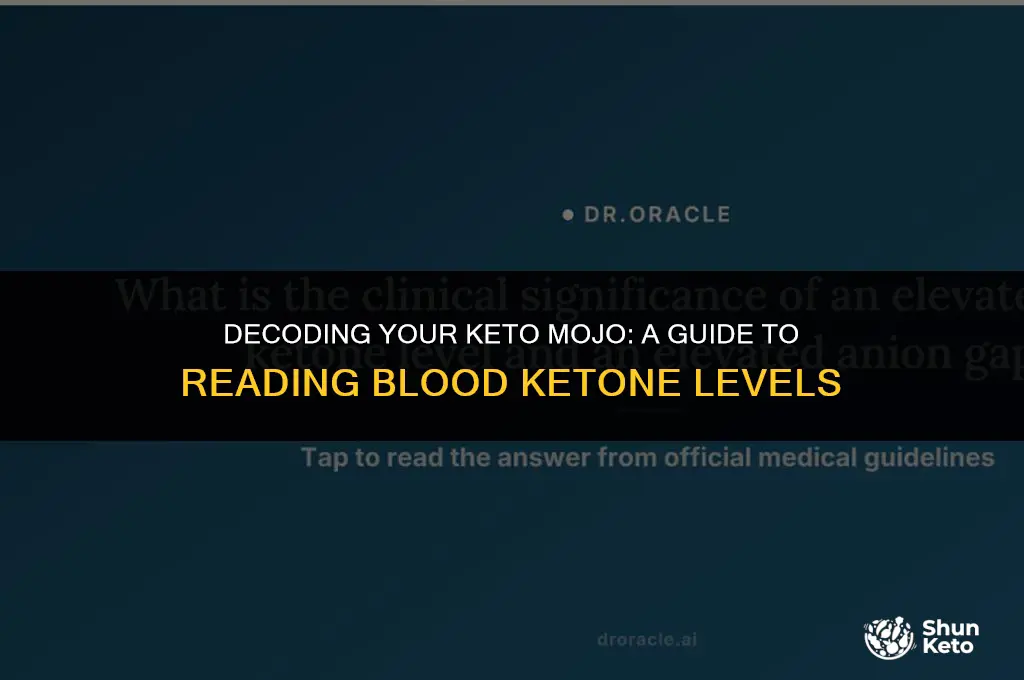 how to read blood keto mojo