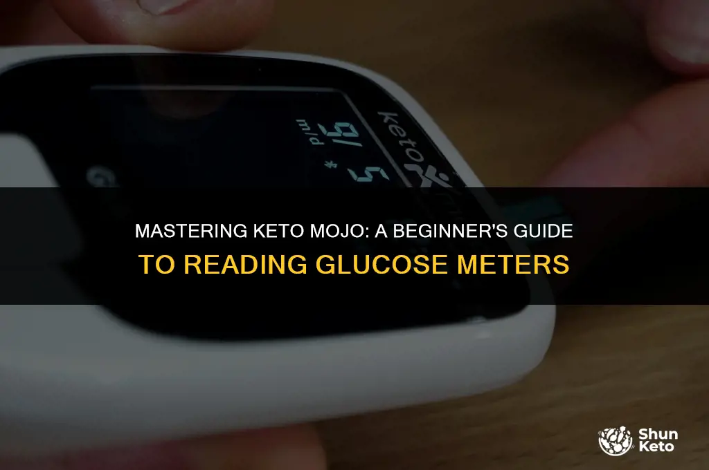 how to read glucose meter keto mojo