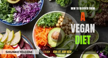 Recovering from a Vegan Diet: A Guide to Getting Healthy Again