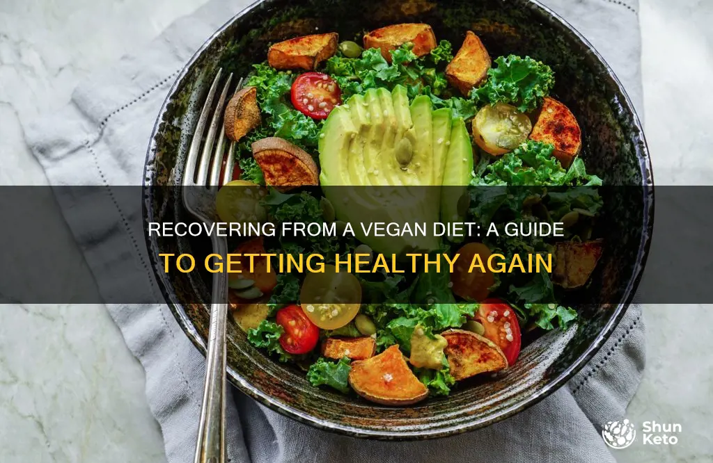 how to recover from a vegan diet