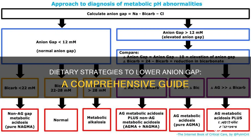 how to reduce anion gap with diet