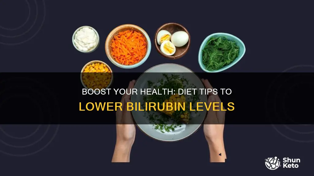 how to reduce bilirubin through diet