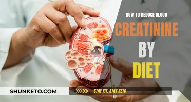 Lowering Creatinine Levels: The Role of Dietary Changes