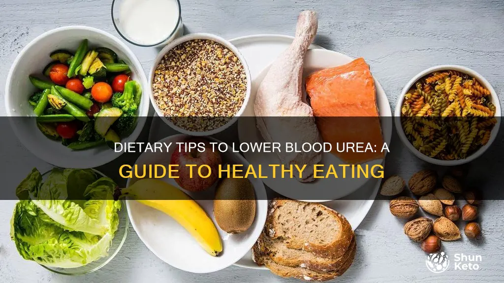 how to reduce blood urea by diet