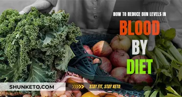 Dietary Strategies to Lower Blood Bun Levels: A Guide