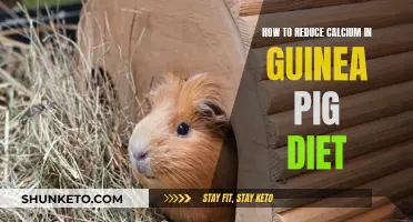 Managing Calcium Levels in Your Guinea Pig's Diet