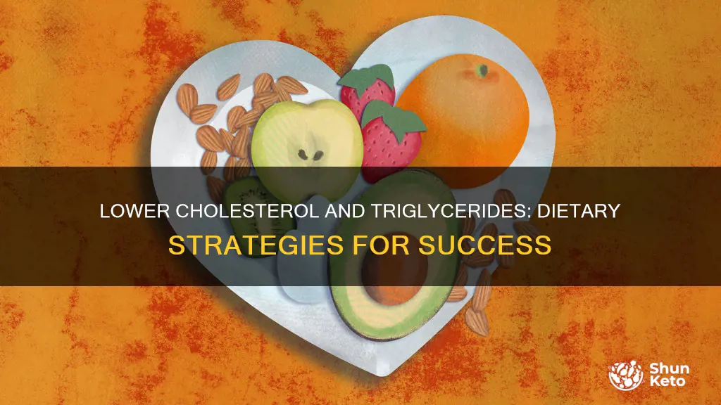 how to reduce cholesterol and triglycerides with diet