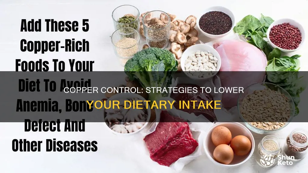 how to reduce copper in your diet