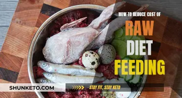 Cost-Effective Strategies for Raw Diet Feeding: Tips for Budget-Conscious Pet Owners