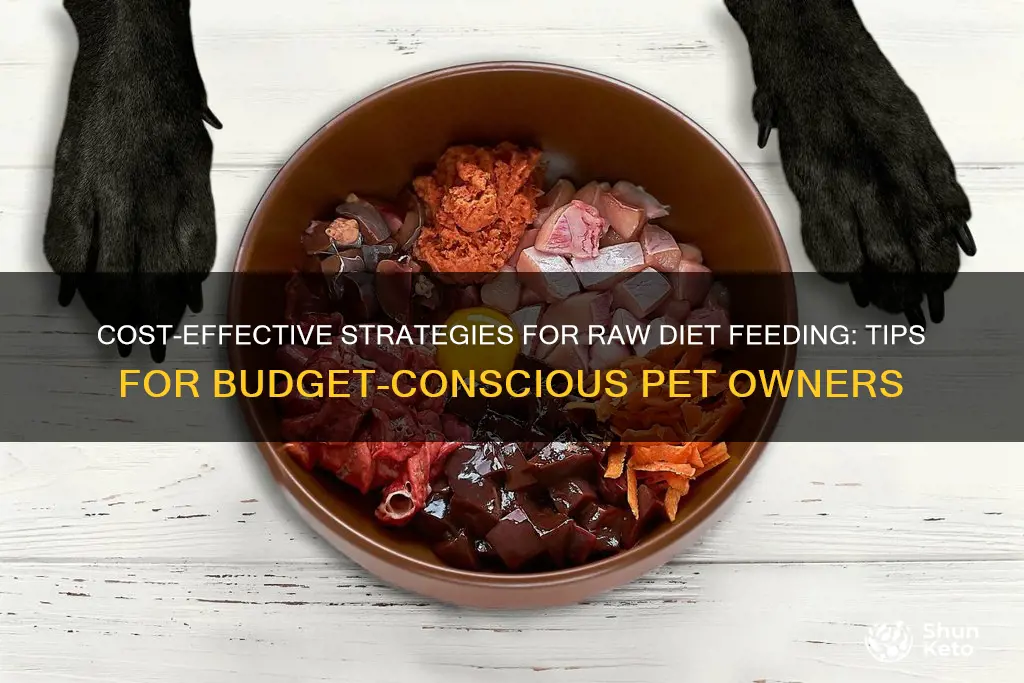 how to reduce cost of raw diet feeding