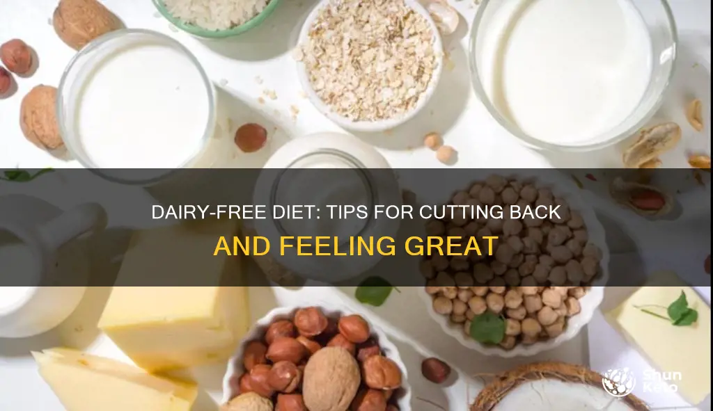 how to reduce dairy in your diet