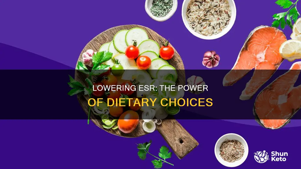 how to reduce esr by diet